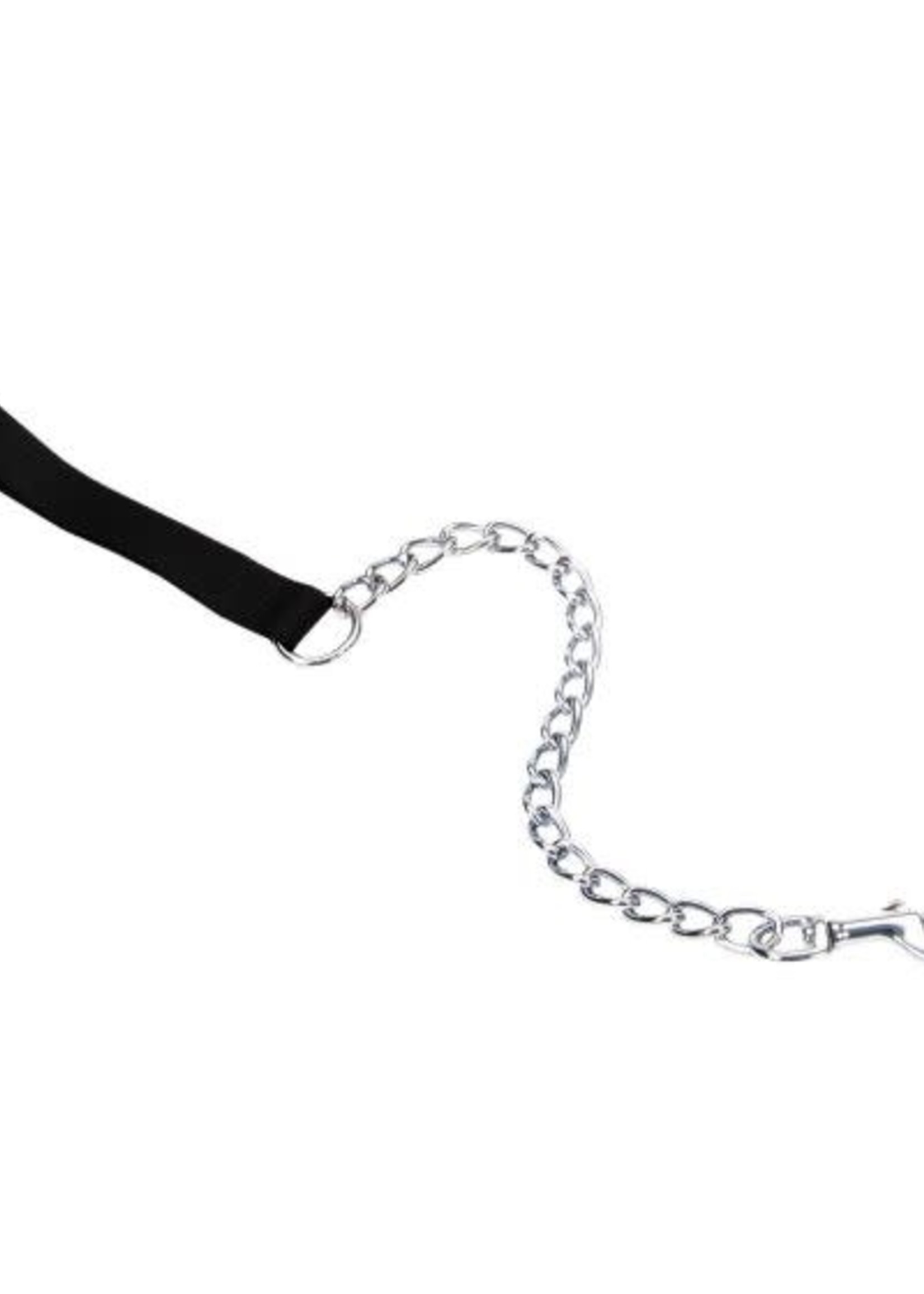 Titan® Titan X-Heavy Chain Leash with Nylon Handle 2' x 4mm Black