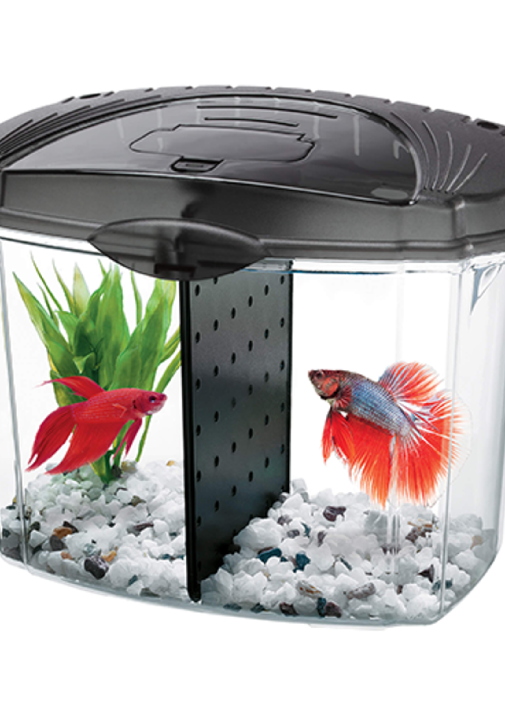 Fish Supplies: Fish Tanks, Aquariums, Bowls, Food & More