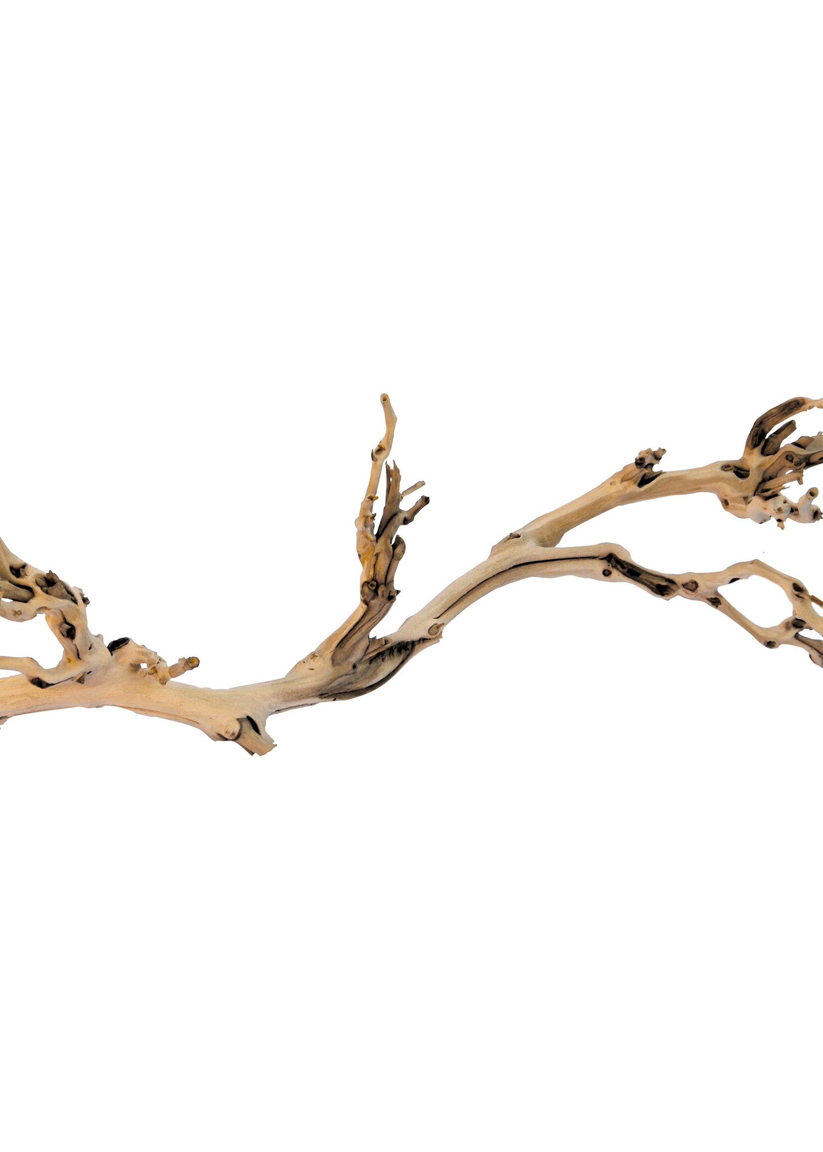 Exo Terra® Exo Terra® Forest Branch - Sandblasted Grapevine - Large