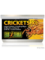 Exo Terra® Crickets XL 34g
