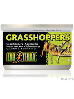 Exo Terra® Canned Grasshoppers 34g
