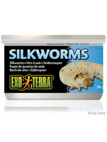 Exo Terra® Silkworms (Pupea) 34g