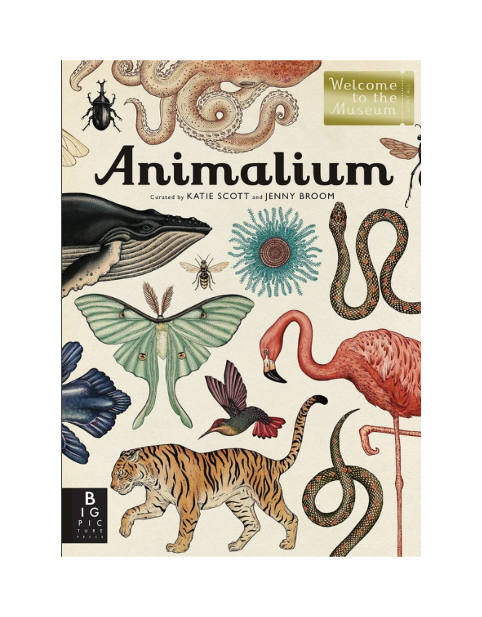 Animalium