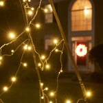 Fairybell | 25ft | 1,000 LED lights | Warm white