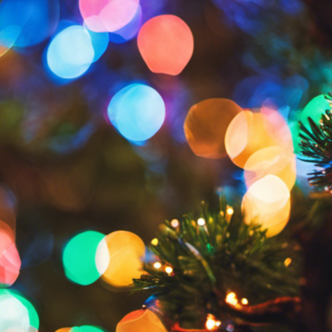 How to Decorate Your Outdoor Trees With Christmas Lights