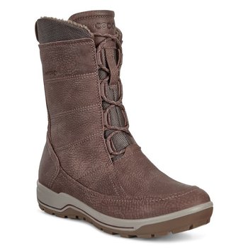 ECCO ECCO  TRACE LITE  COFFEE QUARRY