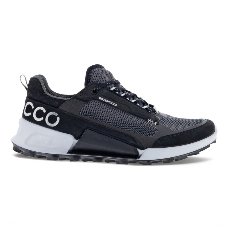 ECCO ECCO- BIOM 2.1 MOUNTAIN Ws LOW- BLACK/BLACK/ MAGNET