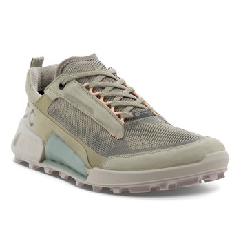 ECCO ECCO  BIOM 2.1 MOUNTAIN Ws LOW  SAGE/SAGE/STEEL