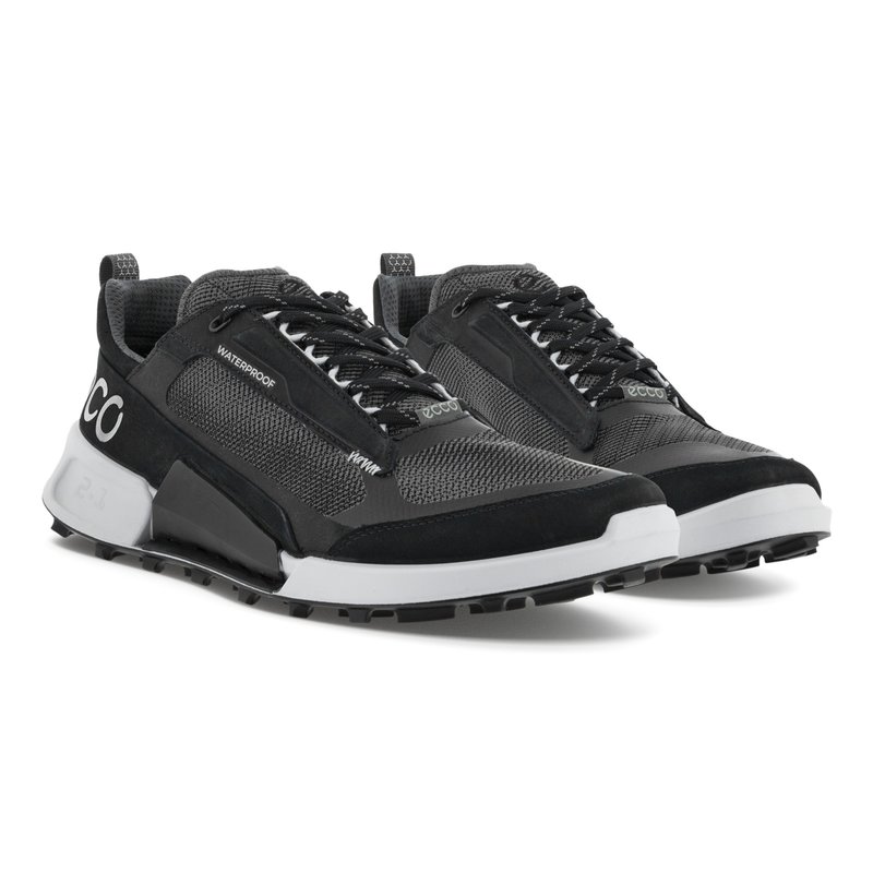 ECCO ECCO- BIOM 2.1 MOUNTAIN Ms LOW WP- BLACK/BLACK/MAGNET