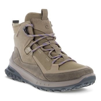ECCO ECCO ULT TRN Ws MID WP  TAUPE/TAUPE/TAUPE