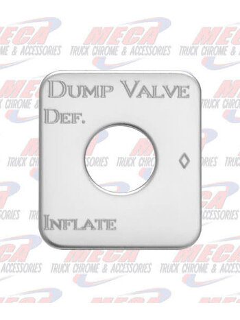 PLATE DUMP VALVE