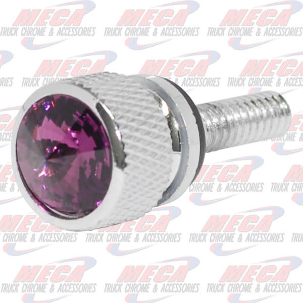 DASH SCREW PB 2001 PURPLE 2 PACK 2001 - 2005