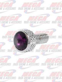 DASH SCREW PB 2006 PURPLE 2 PACK 2006 - UP