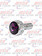 DASH SCREW PB 2006 PURPLE 2 PACK 2006 - UP