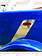 EMBLEM TRIM PB 388/389 SLANTED RACING STRIPE SS