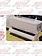 TOOL BOX STEP TRIM IHC 46.25" X 1.63" EACH