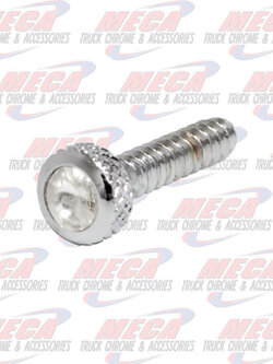 DASH SCREW FL CLEAR