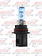 HALLOGEN BULB 9004
