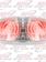 TIGER EYE 16 RED CLEAR LEDS