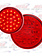 LED 4'' RED 30 DIODES