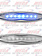 OVAL STRIP W/ 8 BLUE DIDOES