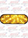 OVAL LT W/ 10 AMBER LEDS