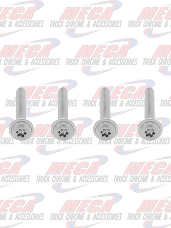 CHROME SCREW SET FOR FL CASCADIA GRILL
