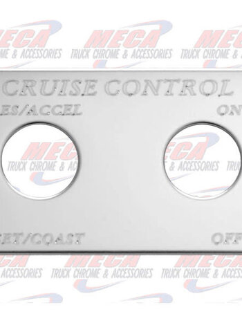 SWITCH PLATE CRUISE CONTROL