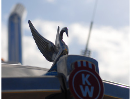 HOOD ORNAMENTS