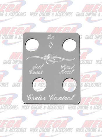 PLATE SWITCH CRUISE CONTROL PB FOUR HOLE