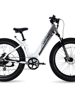 LECTRIC EBIKE XPEAK STEP-THRU BIKE BICYCLE EBK1019
