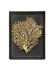  FAN CORAL SHADOW BOX