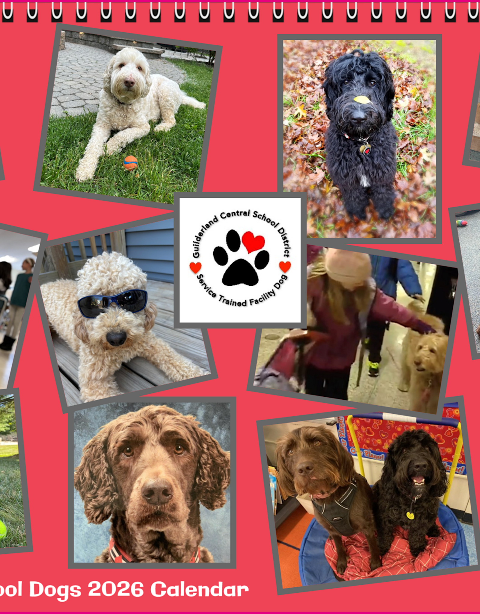 Canine Calendar