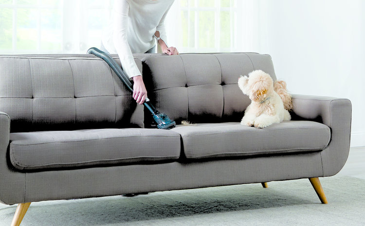 Eureka Eureka FloorRover Dash Multi-Surface Lightweight Upright Vacuum Cleaner, NEU526, Plum Crazy