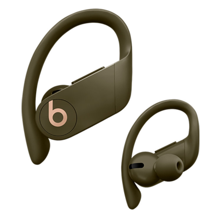 Apple Beats by Dr. Dre - Powerbeats Pro Totally Wireless Earphones