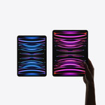 iPad Pro