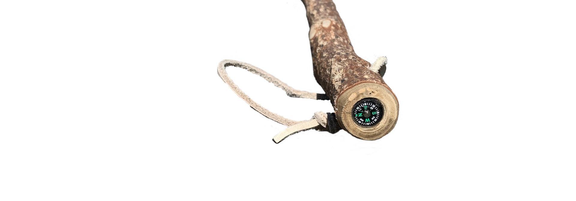 Compass Walking Stick
