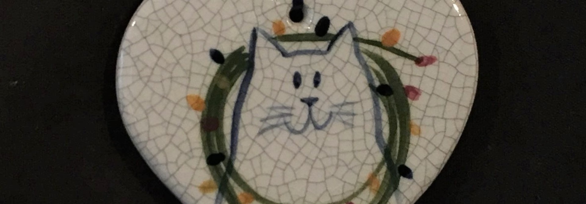 CAT WITH LIGHTS