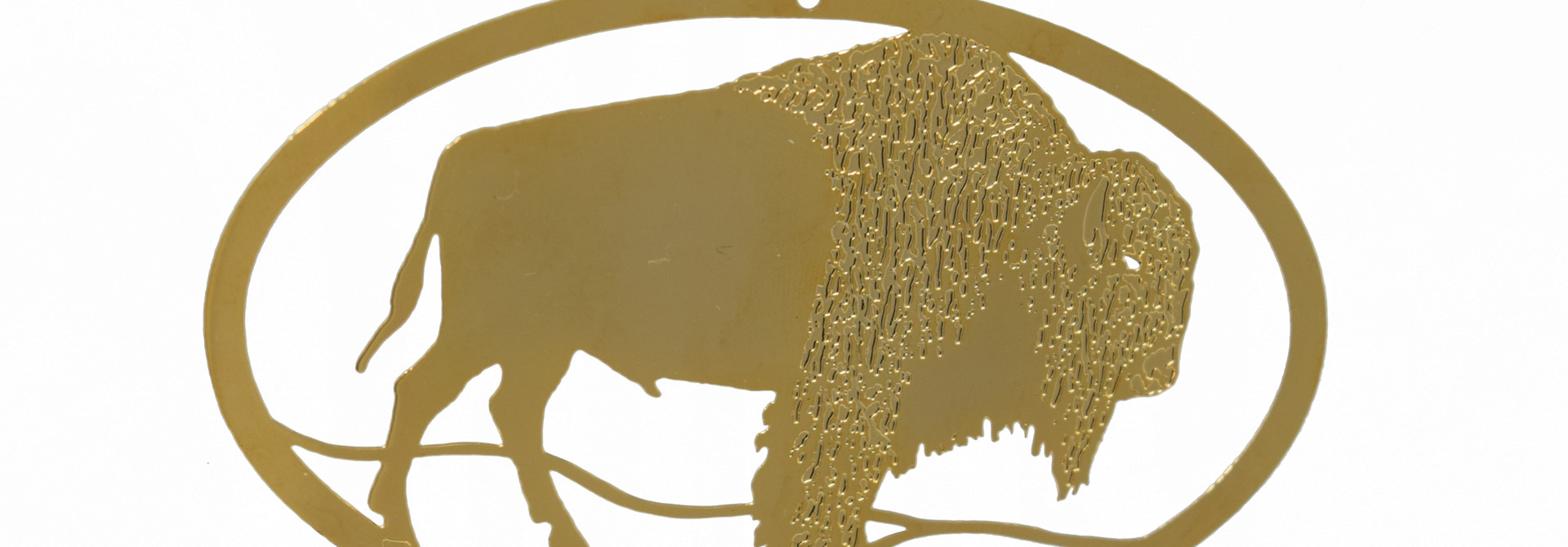 Bison
