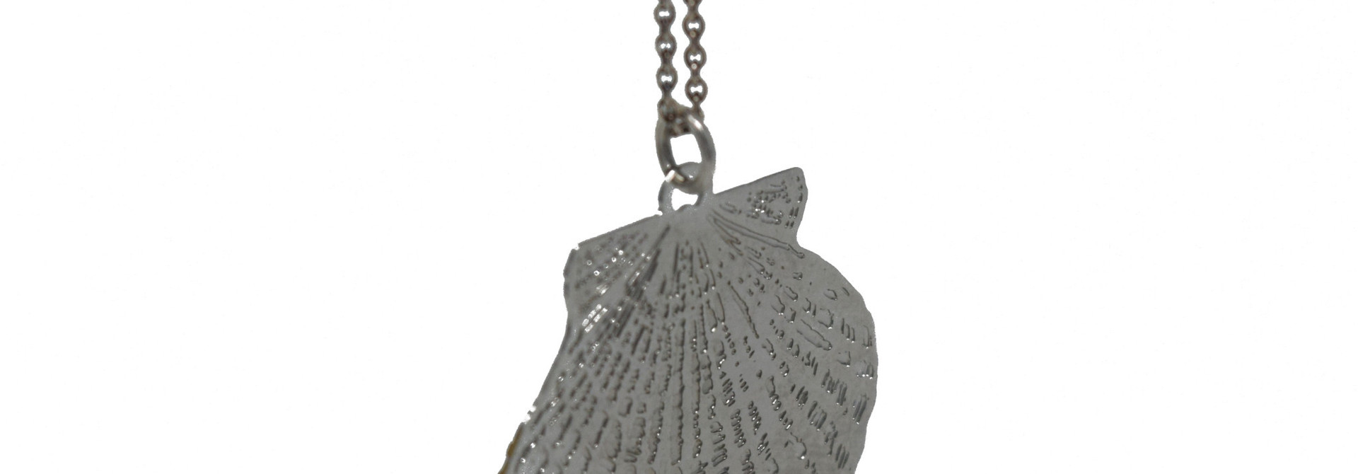 Scalloped Shell Necklace