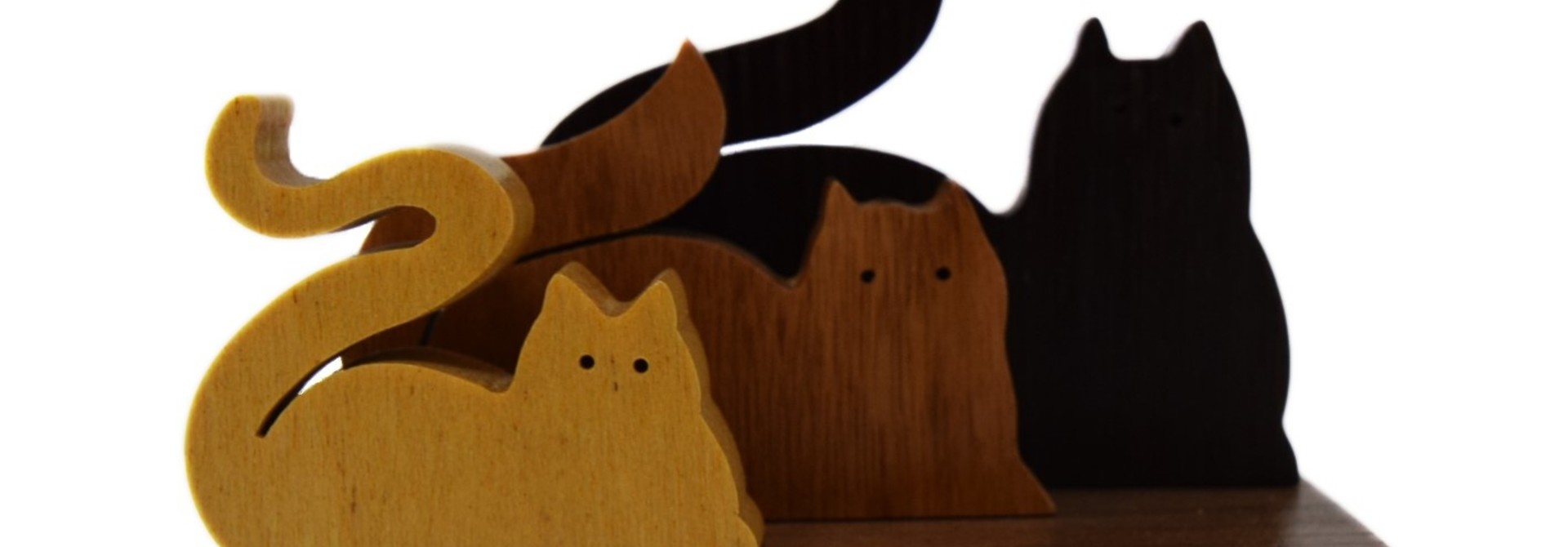 3 Figure Cats