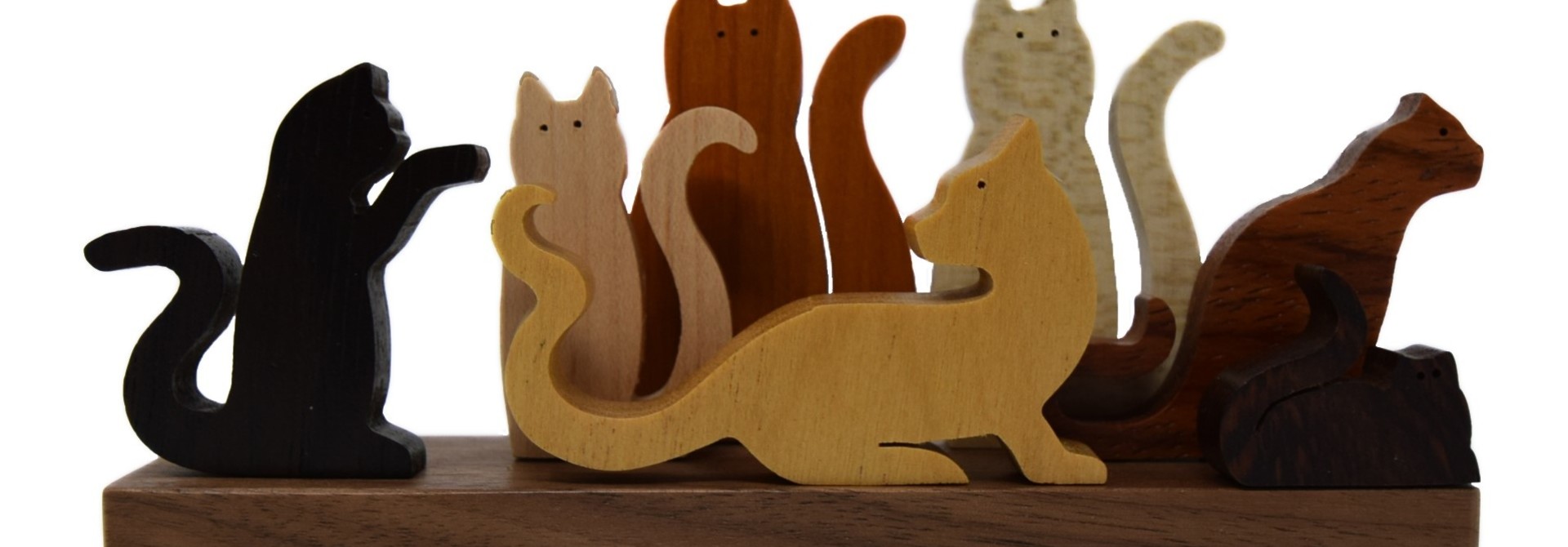 7 FIGURES CATS