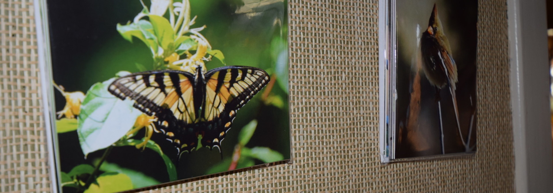 Wall Decor