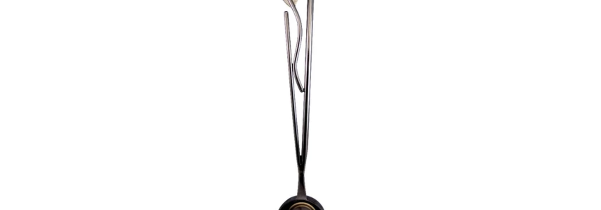 Coffee Scoop