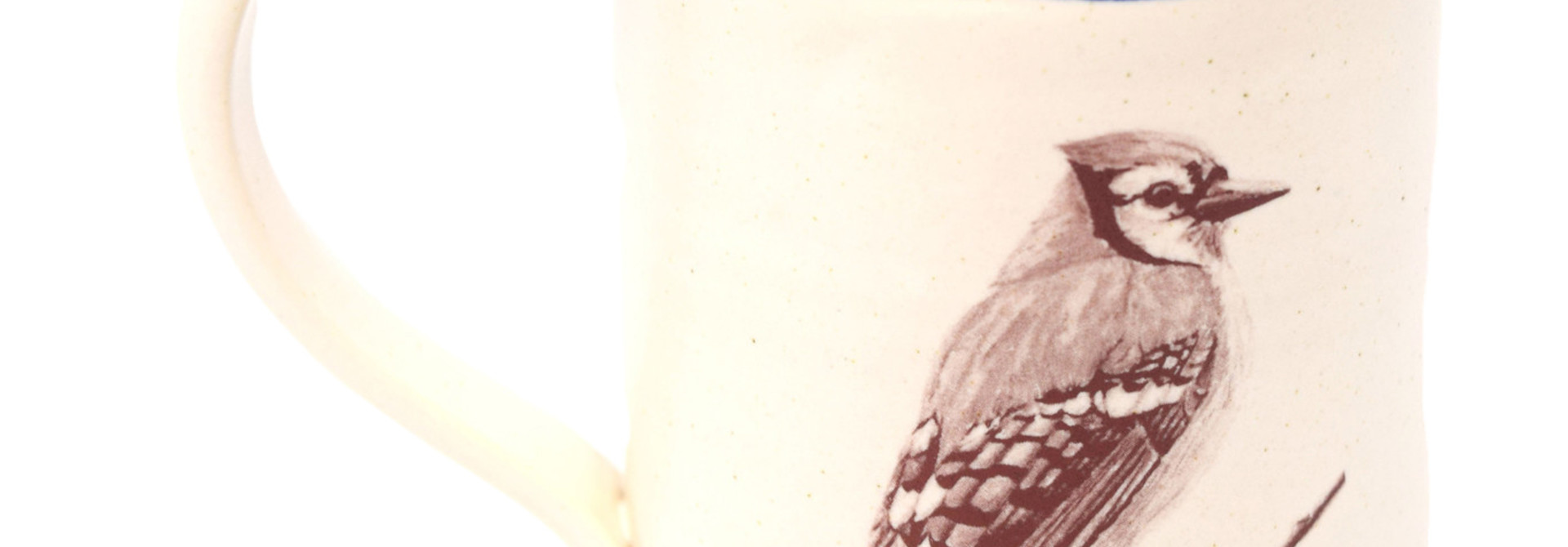 Blue Jay Mug
