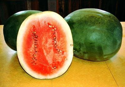 XPOSEED Melon Seed