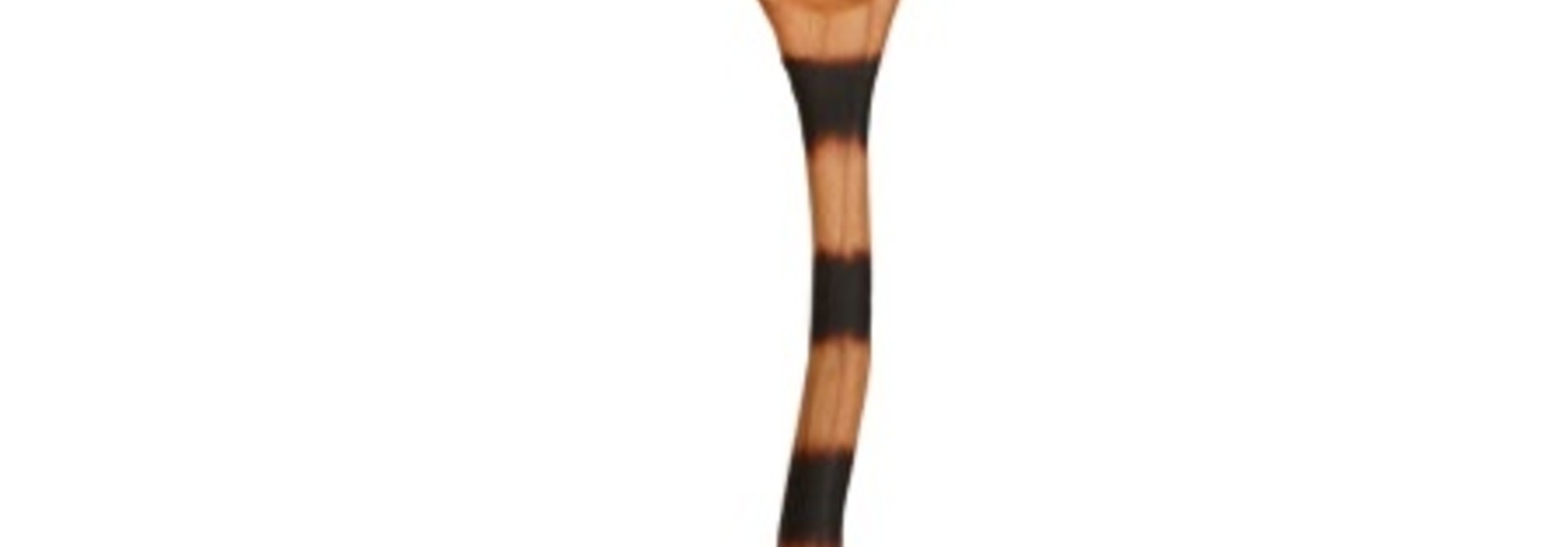 Cat Tail Little Wiggle Spoon