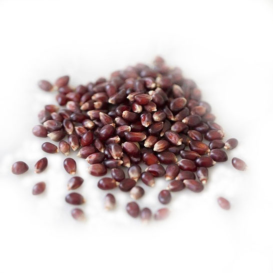 AMISH Individual 4 oz Bag of Popcorn