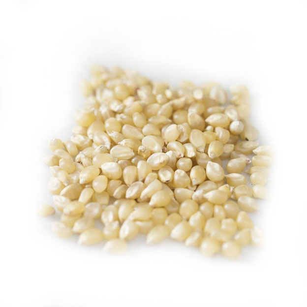 AMISH Individual 4 oz Bag of Popcorn