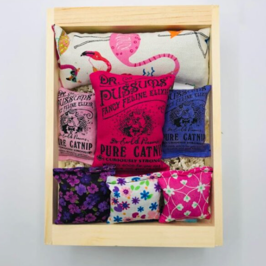 DrPuCat Assorted Kitty Crate Gift Box